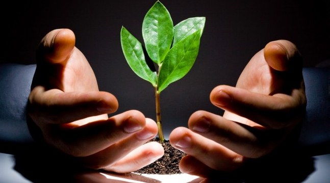 Launching A Successful Startup